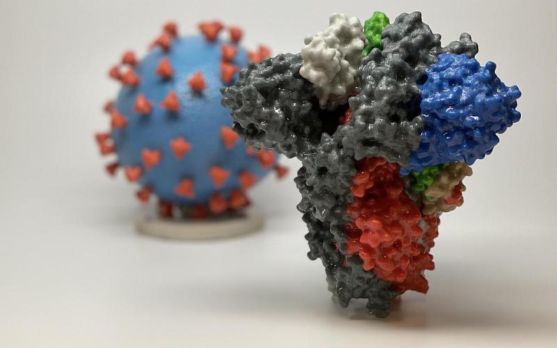 3D illustration of COVID-19 spike protein (NIH photo)