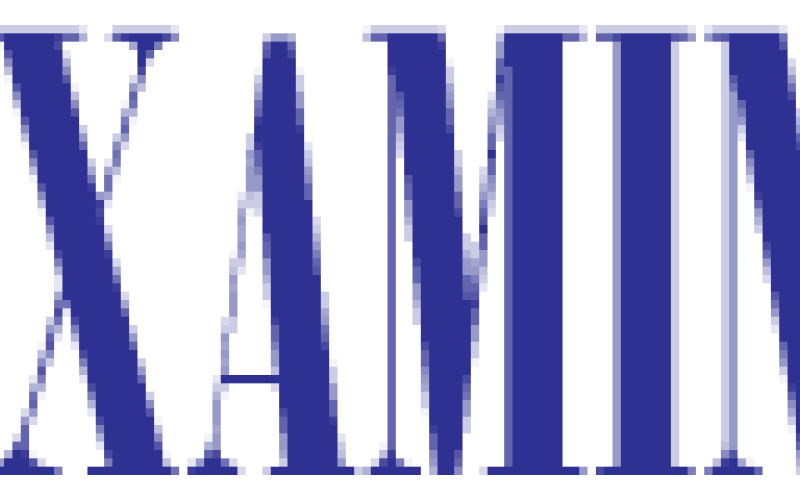 Visit theexaminer.com for updates on COVID-19 efforts, impacts in Southeast Texas.