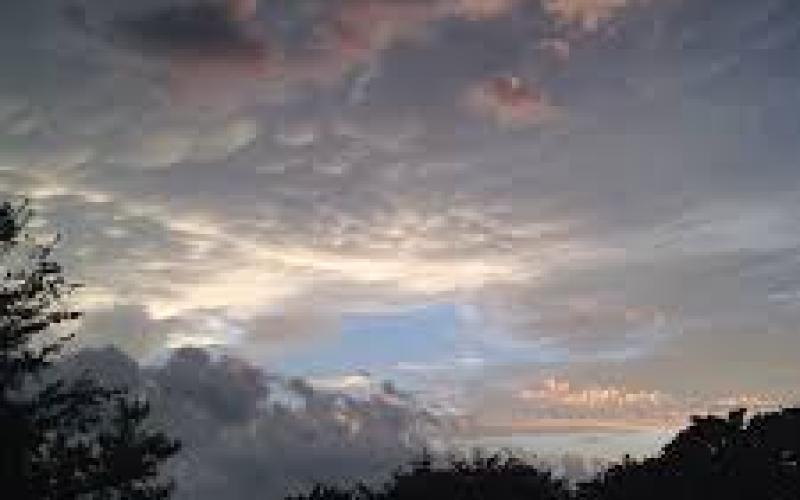 Port Neches provides post-storm information and recommendations.