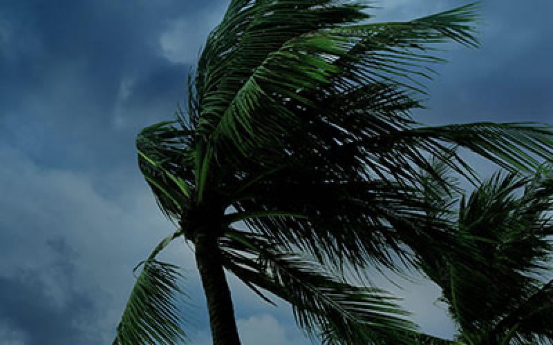 AT&amp;T donates to local task force to assist in hurricane recovery.