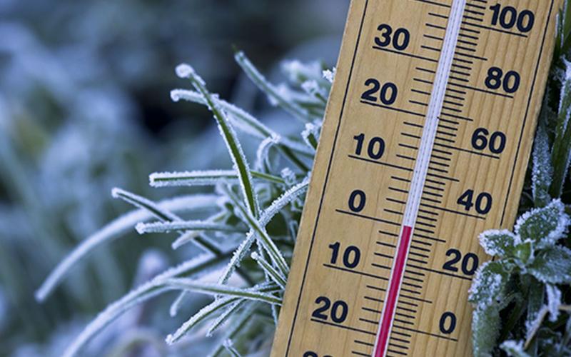 Entergy Texas offers tips to reduce power usage during cold weather.