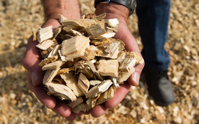 Arbor Renewable Gas LLC selects Beaumont for new site. The company uses biomass and other cast-off materials to produce renewable fuel alternatives.