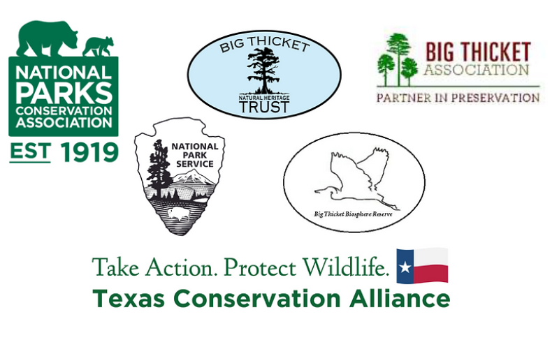 Big Thicket National Preserve expands tree planting efforts