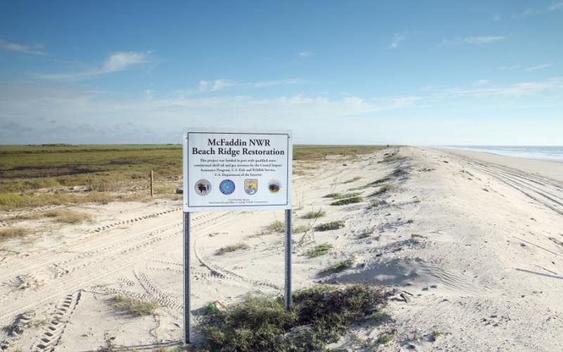 McFaddin Beach and Dune Restoration