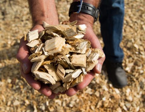 Arbor Renewable Gas LLC selects Beaumont for new site. The company uses biomass and other cast-off materials to produce renewable fuel alternatives.