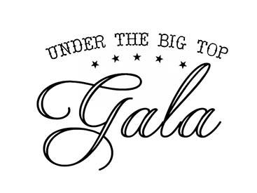 CHRISTUS Southeast Texas Foundation postpones fundraising gala