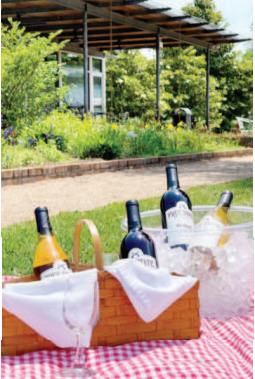 An assortment of wine and spirits 