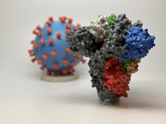 3D illustration of COVID-19 spike protein (NIH photo)