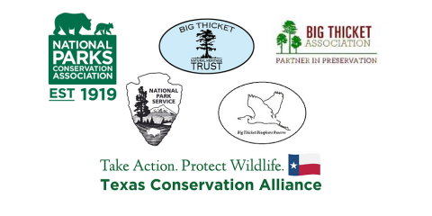 Big Thicket National Preserve expands tree planting efforts