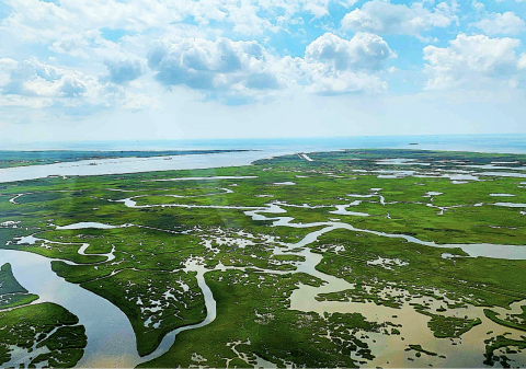 Aerial photograph of Texas Point National Wildlife Refuge by Tim Richardson