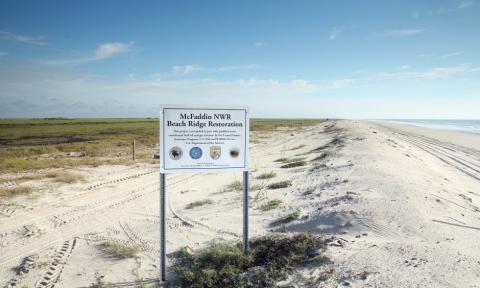 McFaddin Beach and Dune Restoration